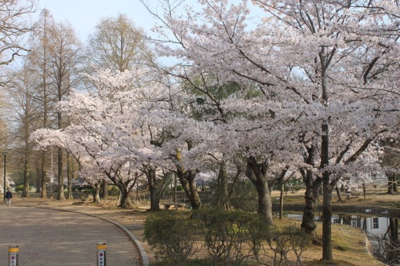 b0249247_0425545.jpg
