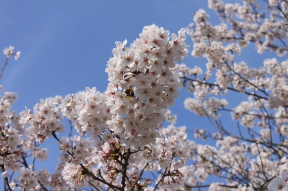 b0249247_044365.jpg