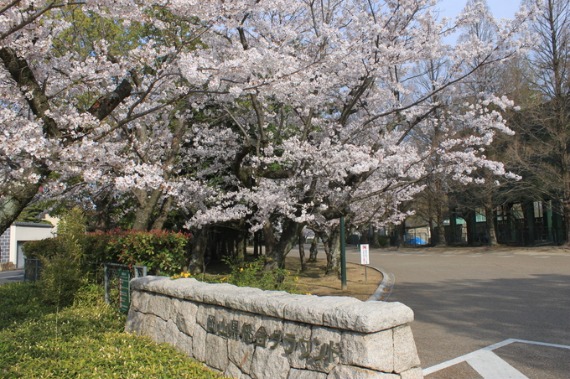 b0249247_0457100.jpg