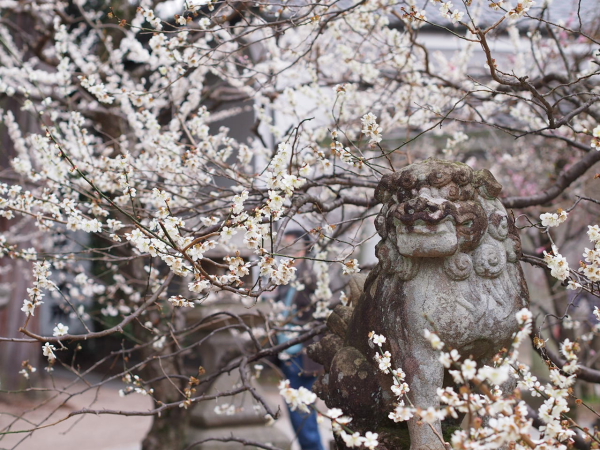 a0024250_13152520.jpg