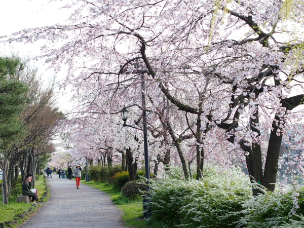 a0024250_13184082.jpg