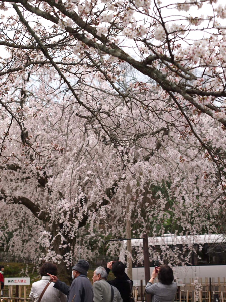 a0024250_141535100.jpg