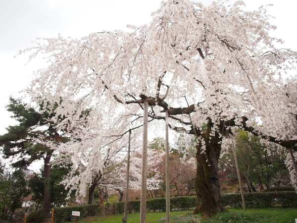 a0024250_14155466.jpg