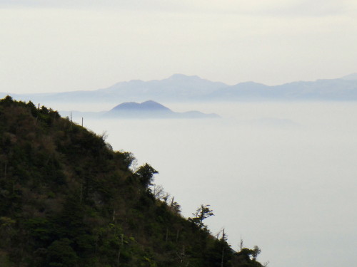 c0179351_11475536.jpg