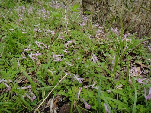 c0179351_11504342.jpg