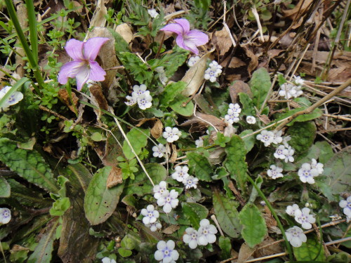 c0179351_11515142.jpg