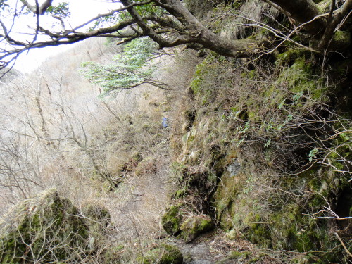c0179351_1158794.jpg