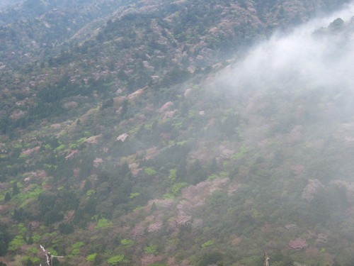 b0160957_1424483.jpg