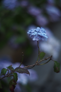 f0214858_0213559.jpg
