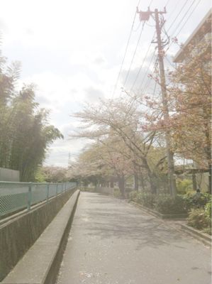 b0098660_0481699.jpg