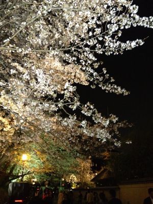 c0032863_1294474.jpg