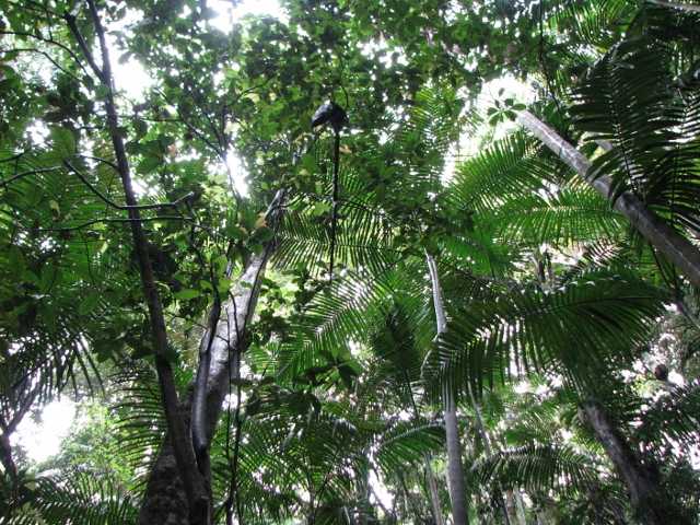 e0037673_15234339.jpg