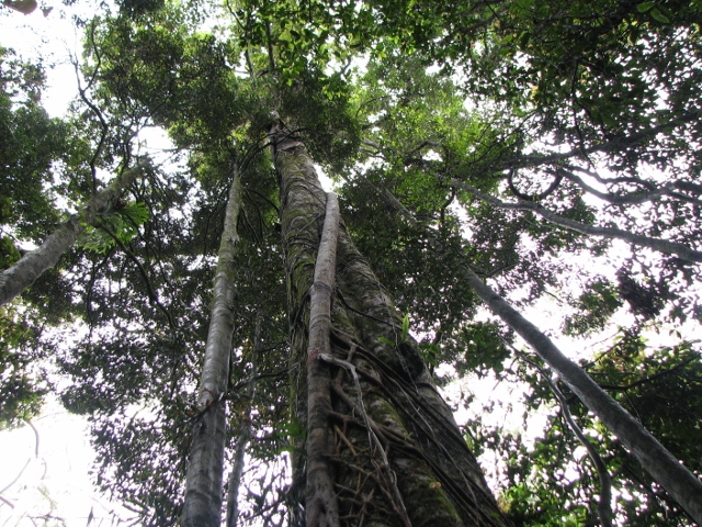 e0037673_1525025.jpg