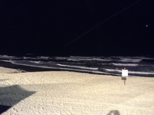 e0037673_1654575.jpg