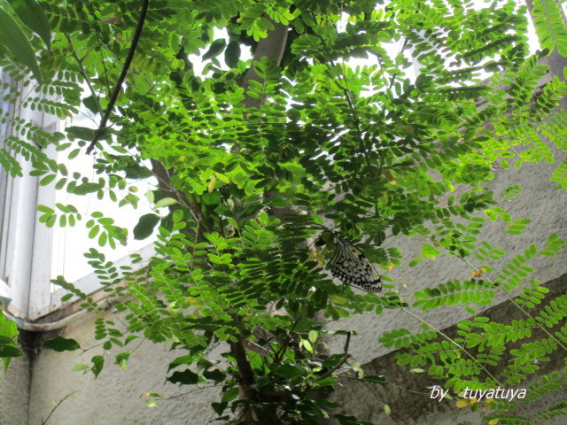 b0245877_0594760.jpg