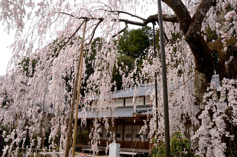 f0108478_1111933.jpg