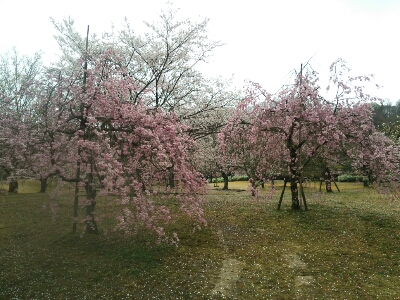 f0223480_21374790.jpg