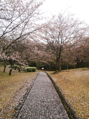 f0223480_21385219.jpg