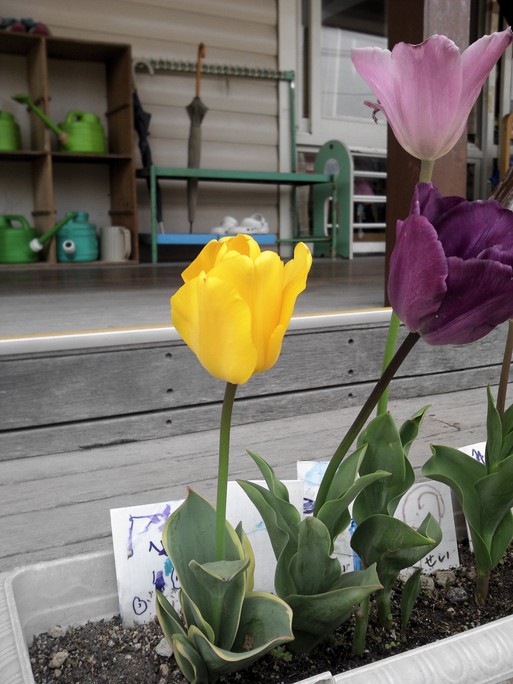 c0182782_218619.jpg