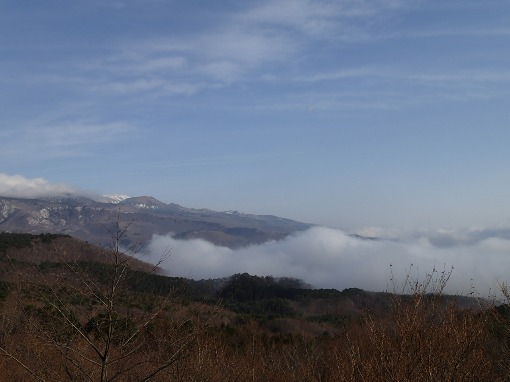 a0279883_916197.jpg