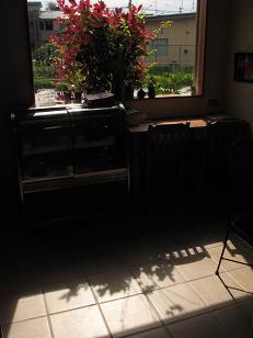 e0130185_125822100.jpg