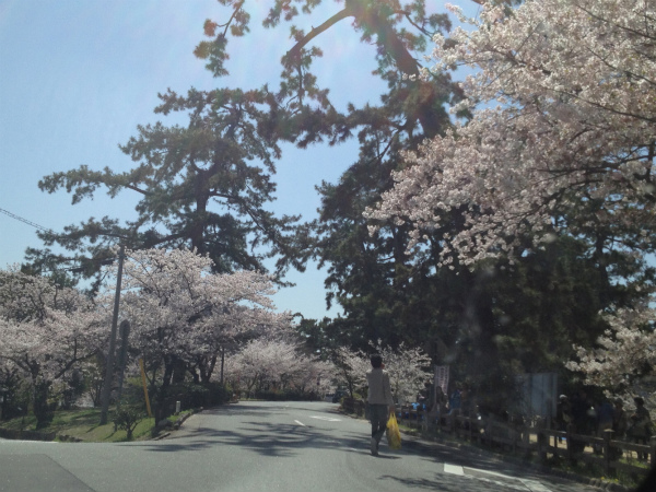 c0132387_2483716.jpg
