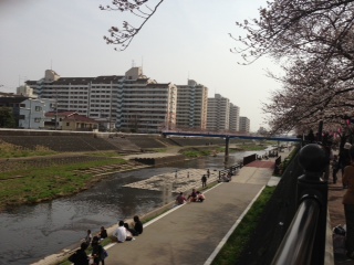 c0029189_2382895.jpg