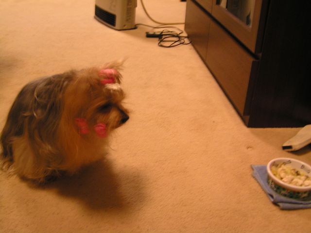 f0130894_22592475.jpg