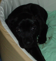 d0282395_17511699.png