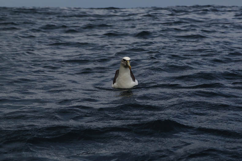 c0248100_23315755.jpg