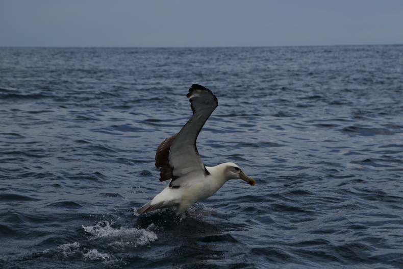 c0248100_23484774.jpg