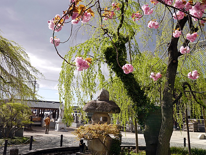 c0187503_1823631.jpg