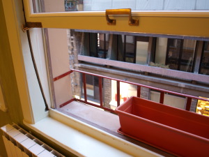 a0207108_852445.jpg