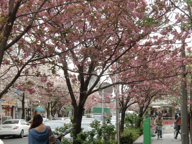 f0231709_13135555.jpg