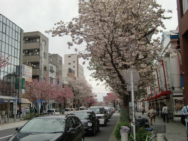 f0231709_1315268.jpg