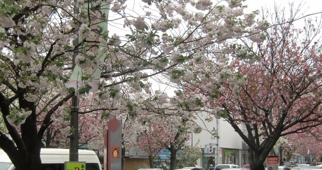 f0231709_1330105.jpg
