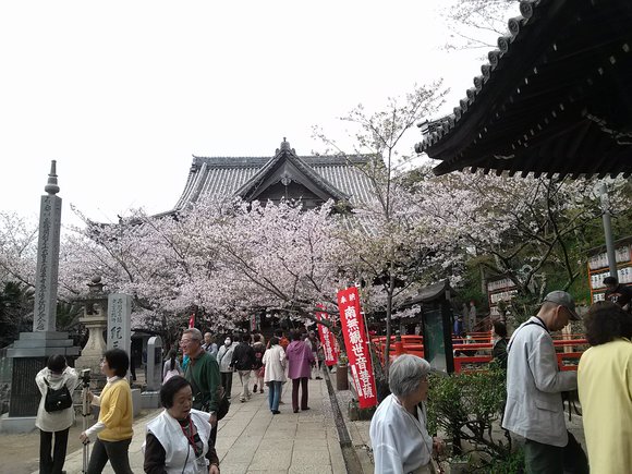 f0219810_3423989.jpg