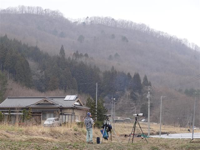 a0127015_7402775.jpg