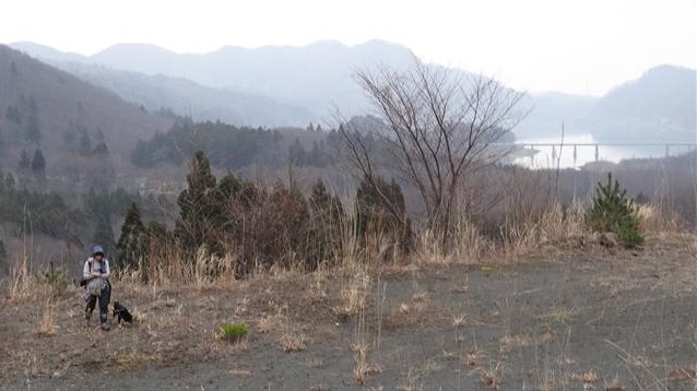 a0127015_8145332.jpg