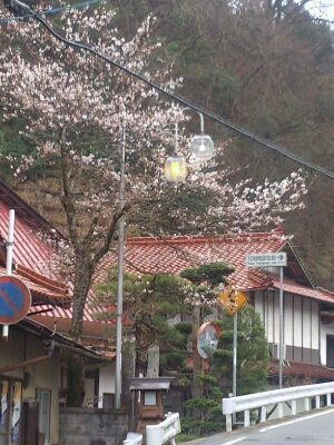 a0218118_1356372.jpg