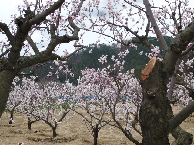 c0013922_201278.jpg