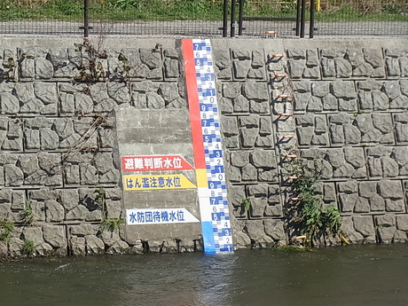 d0141424_20175593.jpg