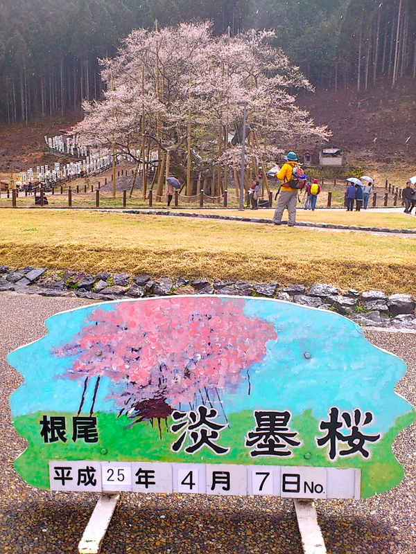 e0053327_22452988.jpg