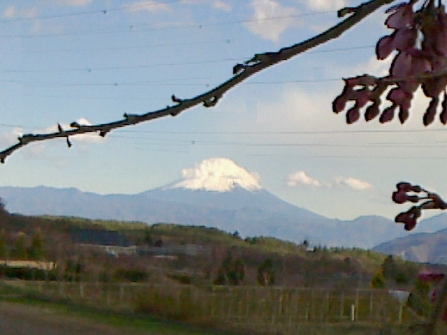 e0016828_20122823.jpg