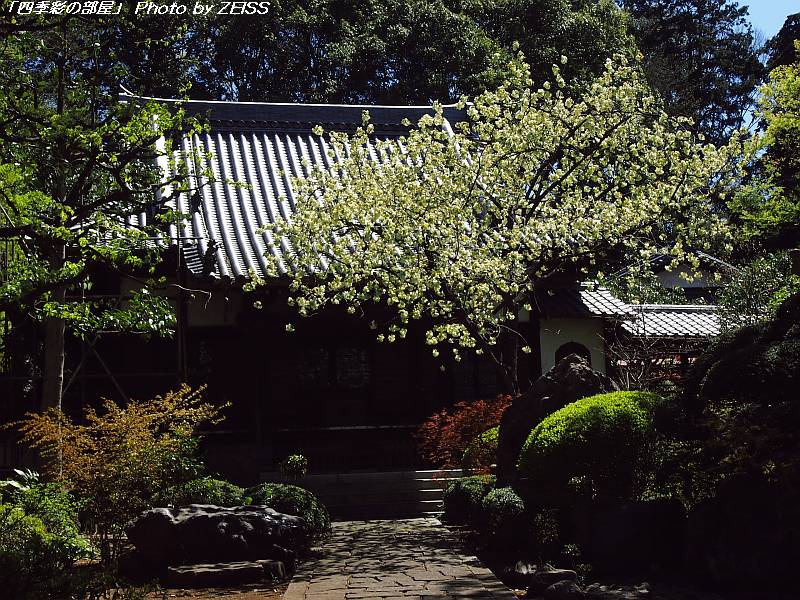 a0195032_14555013.jpg