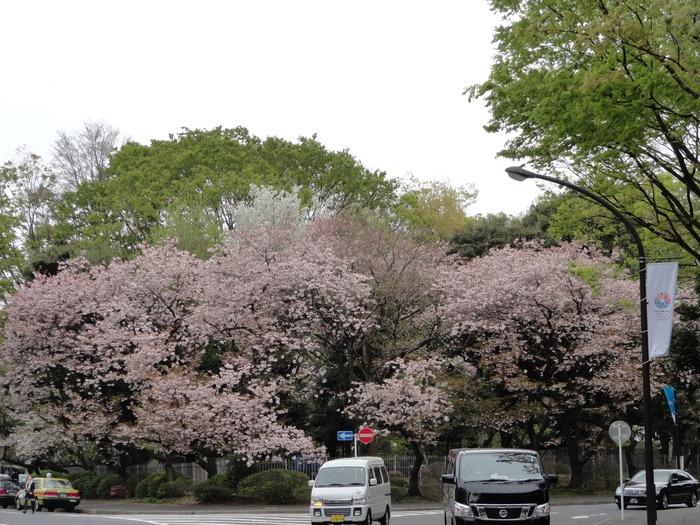 f0238932_2373935.jpg