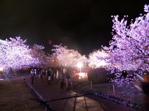b0242134_14464313.jpg