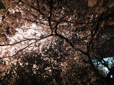 b0242134_1451823.jpg