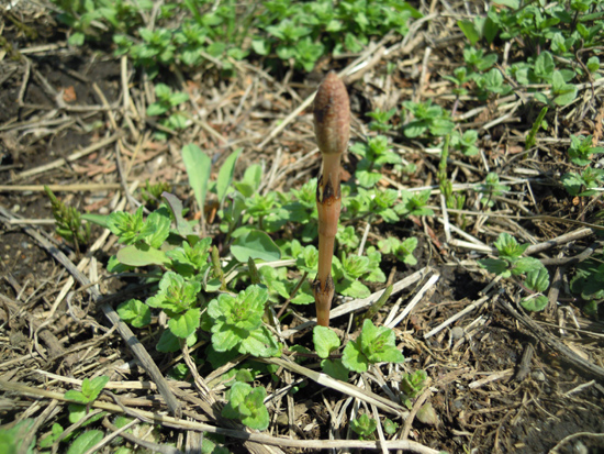 e0097534_17304183.jpg