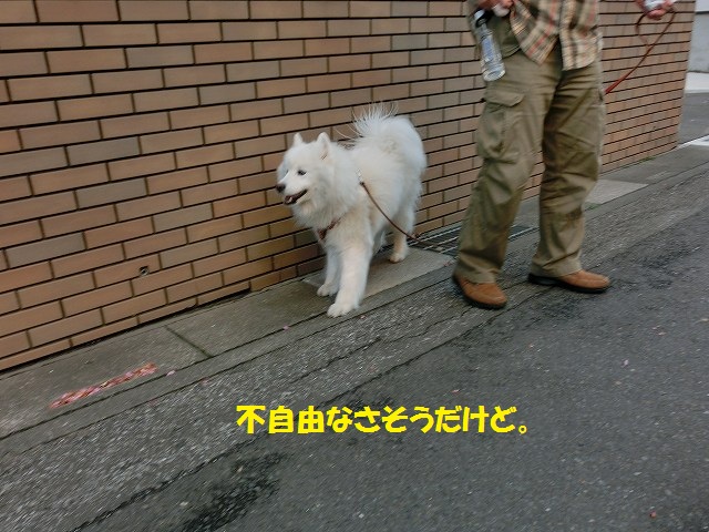e0196135_2161139.jpg